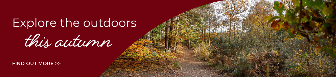 KHH Autumn banner v2