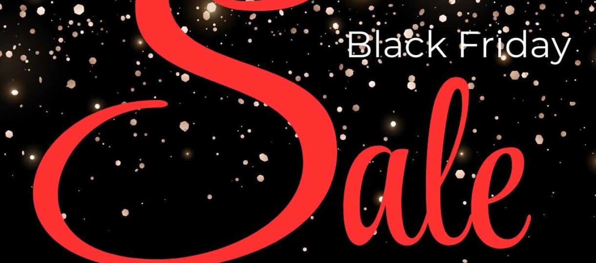 Black Friday website 25